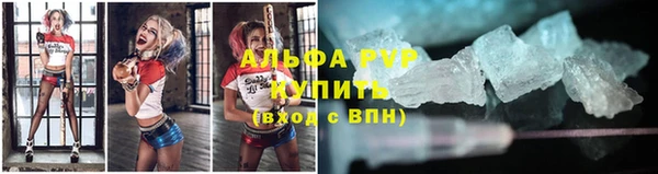 СК Абаза