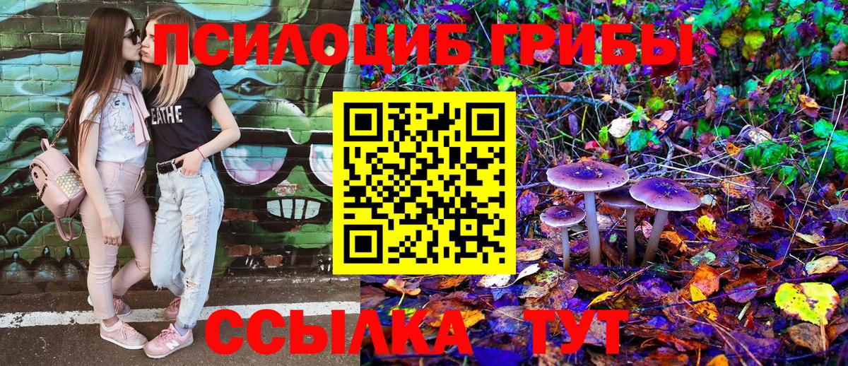 Галлюциногенные грибы GOLDEN TEACHER Благовещенск